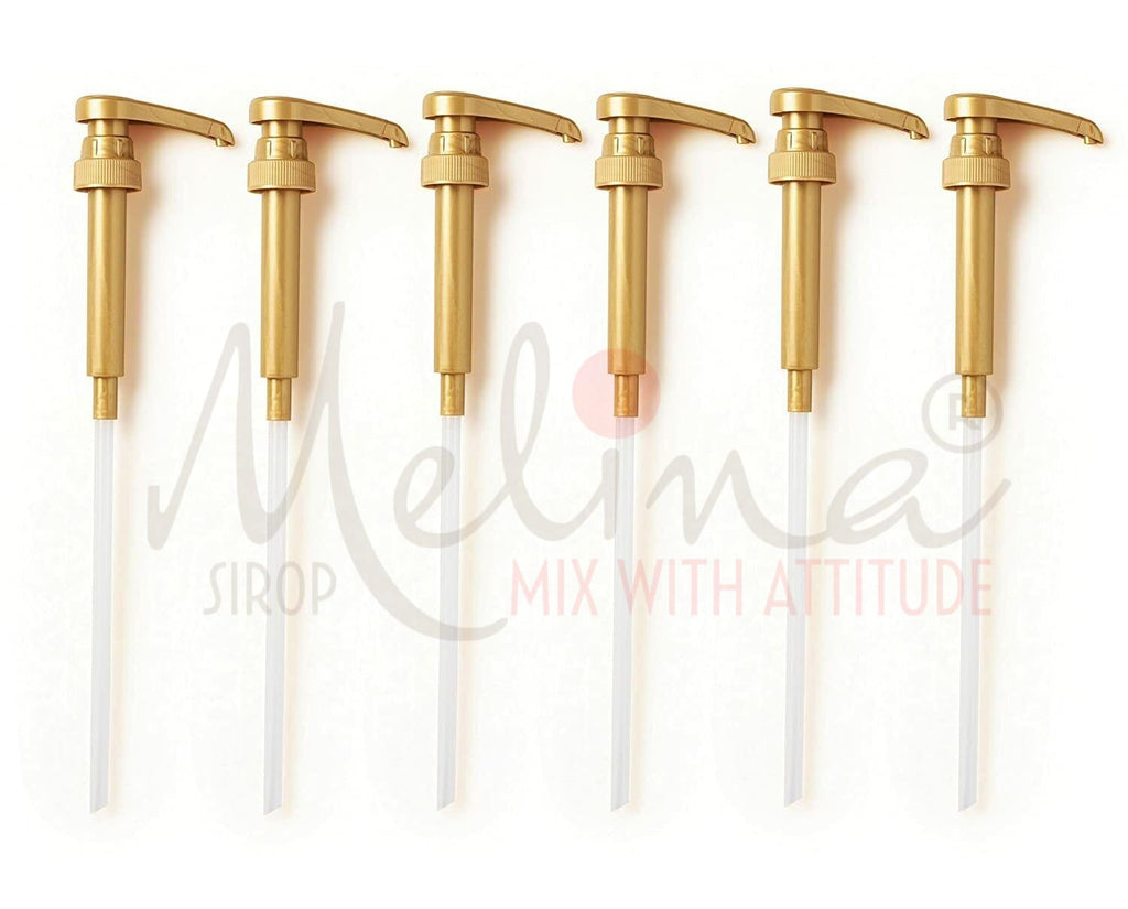 Melina® Syrup Bottle Pump for Coffee, Milk Tea & Syrup Dispensing