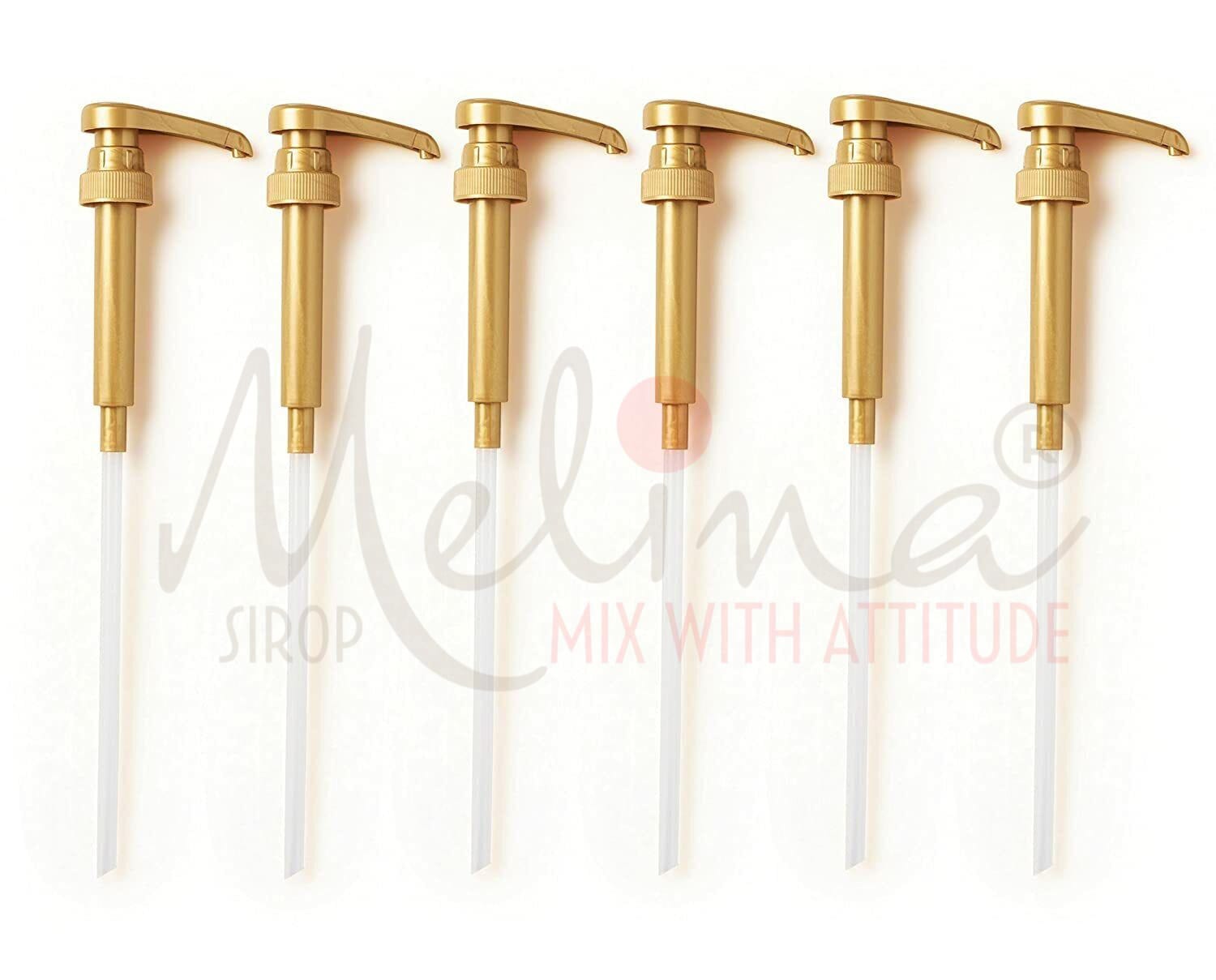 Melina® Syrup Bottle Pump for Coffee, Milk Tea & Syrup Dispensing